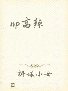 np高辣