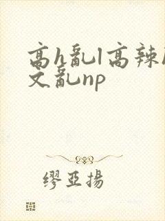 高h乱l高辣h文乱np