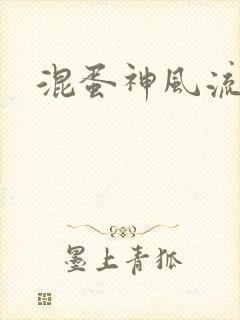 混蛋神风流史补