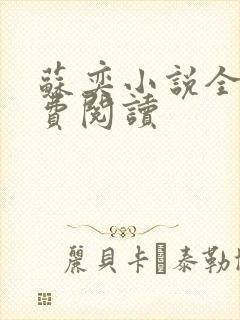 苏奕小说全文免费阅读