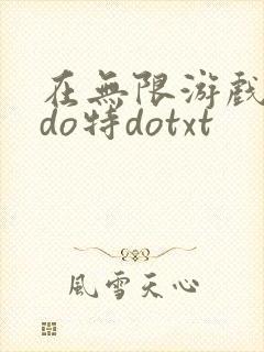 在无限游戏大里do特dotxt封面