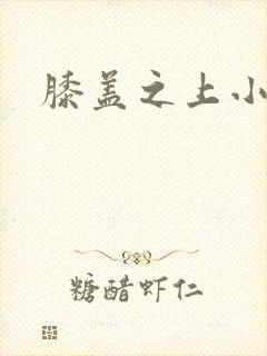 膝盖之上小说