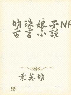 明珠娘子NPC古言小说封面