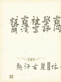 校霸被学霸玩到崩溃云译网封面