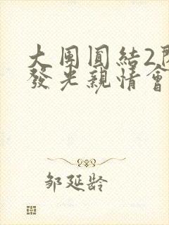 大团圆结2闪闪发光亲情会