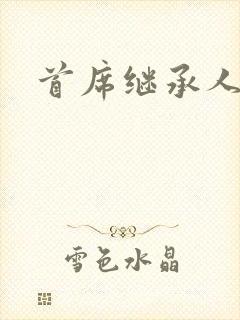 首席继承人