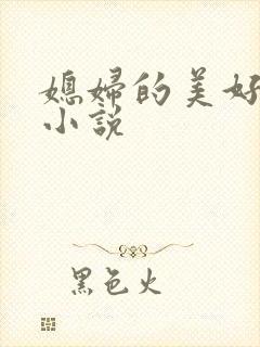 媳妇的美好时代小说封面