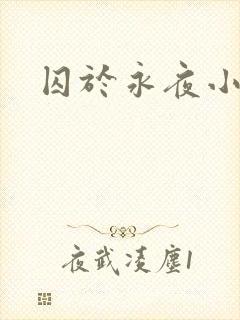 囚于永夜小说
