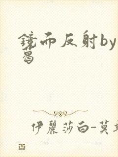 镜面反射by九葛