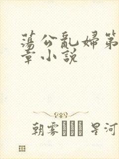 荡公乱妇第51章小说