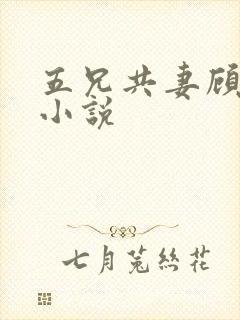 五兄共妻顾心儿小说
