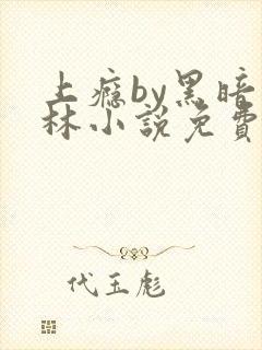 上瘾by黑暗森林小说免费