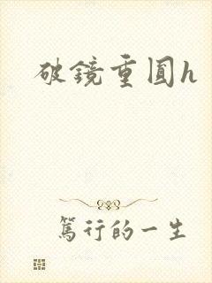 破镜重圆h