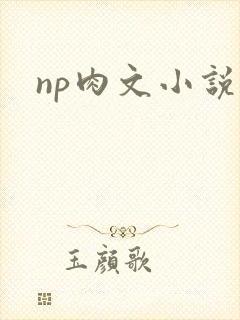 np肉文小说