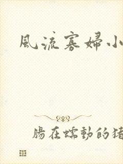 风流寡妇小说