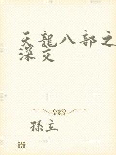 天龙八部之极乐深交封面