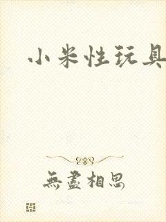 小米性玩具日记