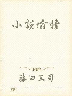 小说偷情封面