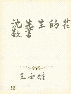 沈先生的花式调数书封面