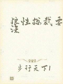 狼性总裁要够了没