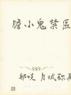 胆小鬼禁区