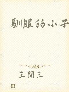 驯服的小子4