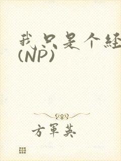 我只是个经纪人(NP)封面