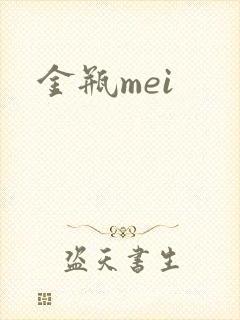 金瓶mei封面