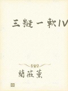 三糙一软1V3封面