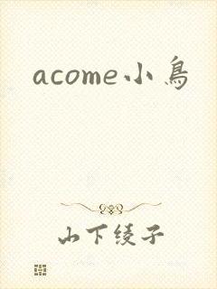 acome小鸟