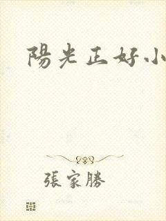 阳光正好小说