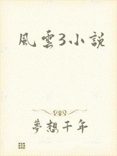风云3小说