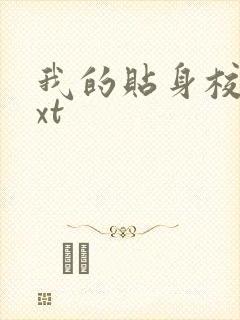 我的贴身校花txt封面