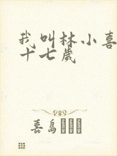 我叫林小喜今年十七岁