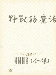 野兽的魔法师