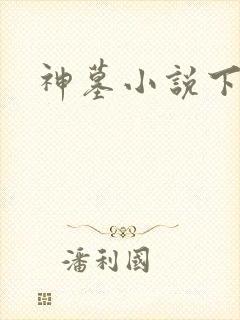 神墓小说下载