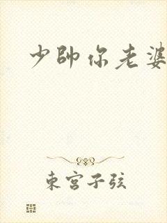 少帅你老婆