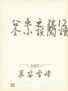 公车之狼12集全小说阅读
