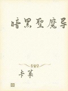 暗黑圣魔导