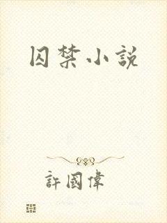 囚禁小说封面