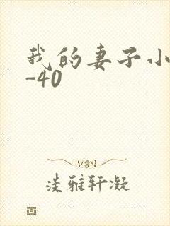 我的妻子小谨1-40封面