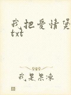 我把爱情煲成汤txt