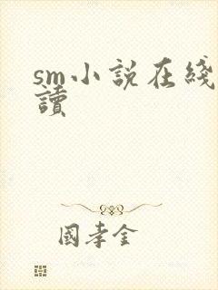 sm小说在线阅读