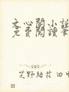 文心阁小说全文免费阅读笔趣阁