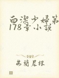 白洁少妇第1一178章小说