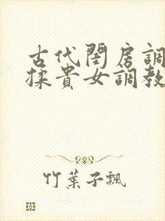 古代闺房调教h揉贵女调教记