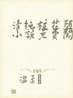 清纯校花堕落记小说免费阅读