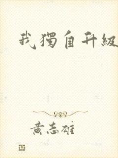 我独自升级小说