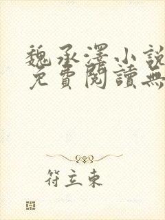魏承泽小说全文免费阅读无弹窗笔趣封面