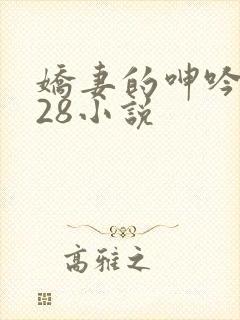 娇妻的呻吟1—28小说